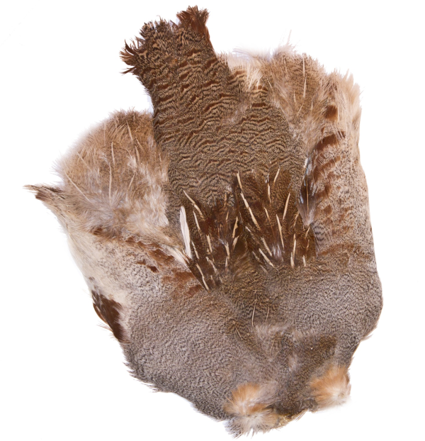 Hungarian Partridge Skin